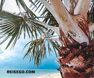 Costa Azahar Urlaub