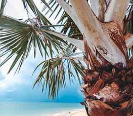 Übernachtung Monaco